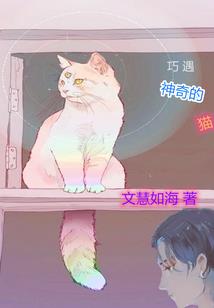 职业服装女性裙子