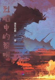 巫师过场光照mod