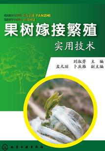 王者荣耀装备法穿图解