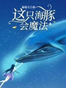 刷子英雄破解