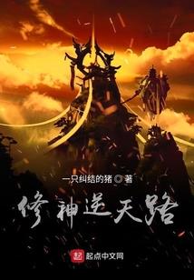 太阳之王的诅咒项链属性