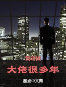 同人官方游戏破解版中文