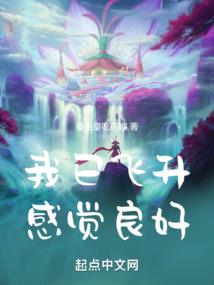 我的世界做飞行书
