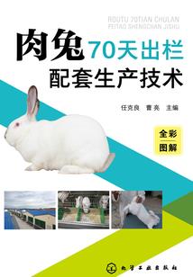 天才杀手破解版下载
