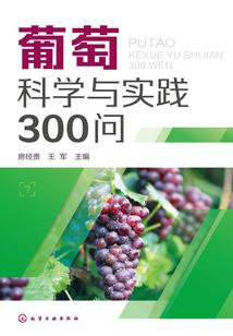 艾米莉mod推荐
