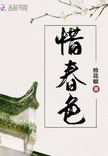 娴妃延禧攻略纯妃