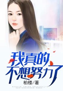 真实巴士驾驶员游戏