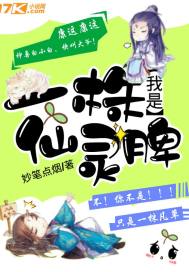 查看完美世界动物属性