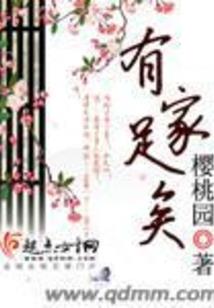 口袋妖怪幻影之翼攻略