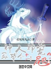wcc破解版