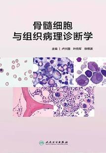 我的世界僵尸战争枪械