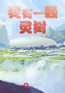 白菱mod
