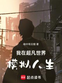 珠海ps4游戏碟