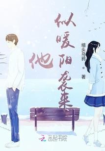 埃及以色列装备对比