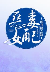 时空之刃mod