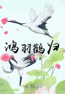 mod改色