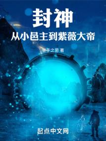 梦幻西游策电
