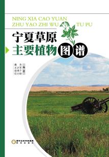 lol杰斯小技巧