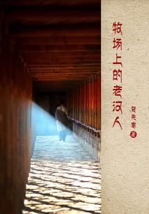 幽灵教义mod