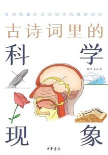 阴阳师 外服 sr