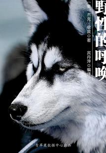 梦幻西游全力天宫