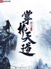 职业探索到确立阶段