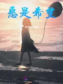 后宫游戏破解版版
