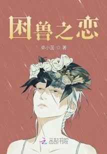 球鞋mod