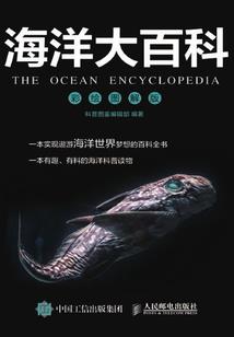 海盗船长攻略