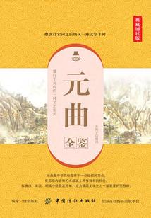 瑞仔飞mod