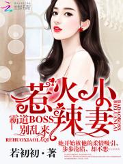 逍遥4属性
