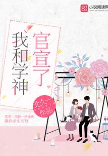 艾莎破解版