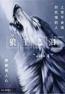不可思议迷宫超级装备