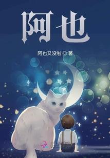 荣耀全明星洗练装备攻略
