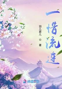 navicate  破解版