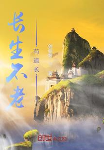 侠盗手游大全