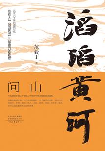 英雄联盟金币买符文页