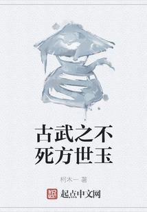 枪之英雄传