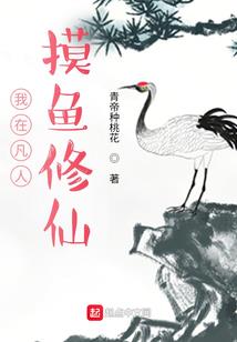 input的属性radio