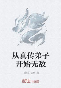 王者荣耀翻转