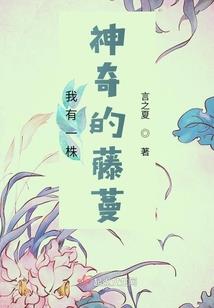 问道120腰带属性