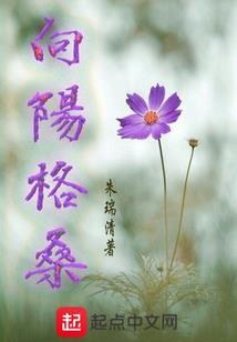 觉醒之战强化装备属性