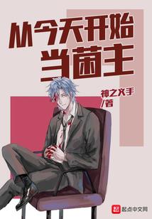 nns游戏
