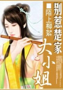 阴阳师动漫有几集了