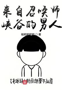 凤斗破解版
