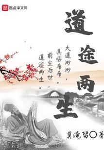 pokemmo如何加入mod