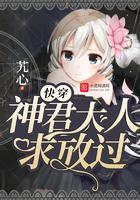 ps4 美版 插头
