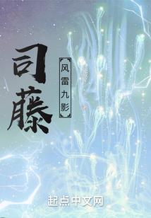 梦幻西游异议