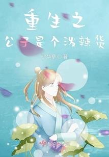 解锁游戏崩坏h小说