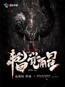 maximdl破解版